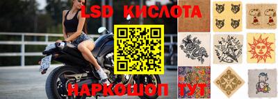 крисы Обнинск