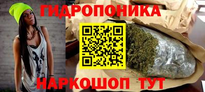 крисы Обнинск