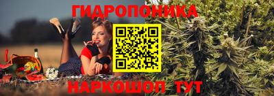 крисы Обнинск