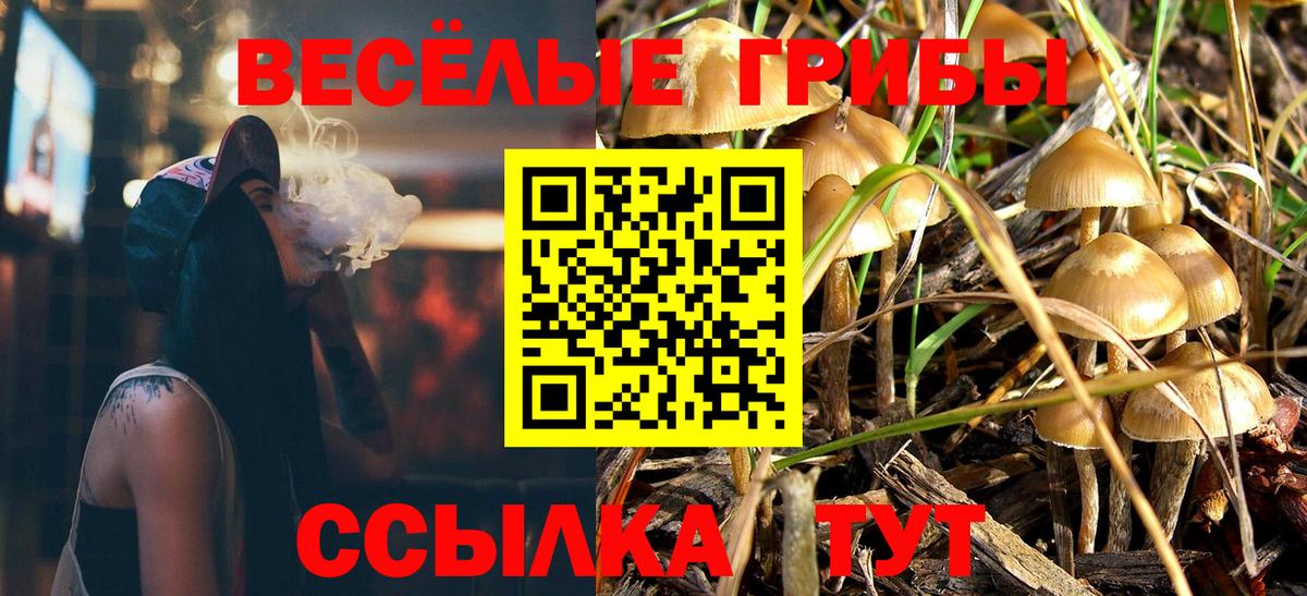 Псилоцибиновые грибы MAGIC MUSHROOMS  Псилоцибиновые грибы GOLDEN TEACHER  Отрадный  Вход с VPN 