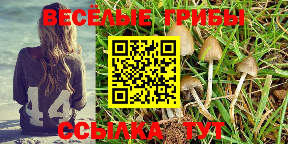 Галлюциногенные грибы ЛСД Отрадный